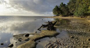 Taveuni – Exotische Blütenpracht, prachtvolle Vögel & tropische Fische unter Wasser