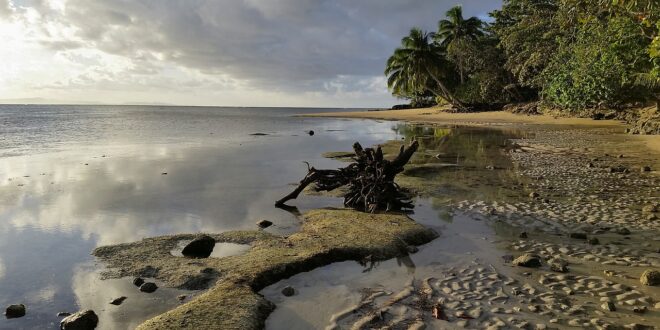 Strand auf Taveuni